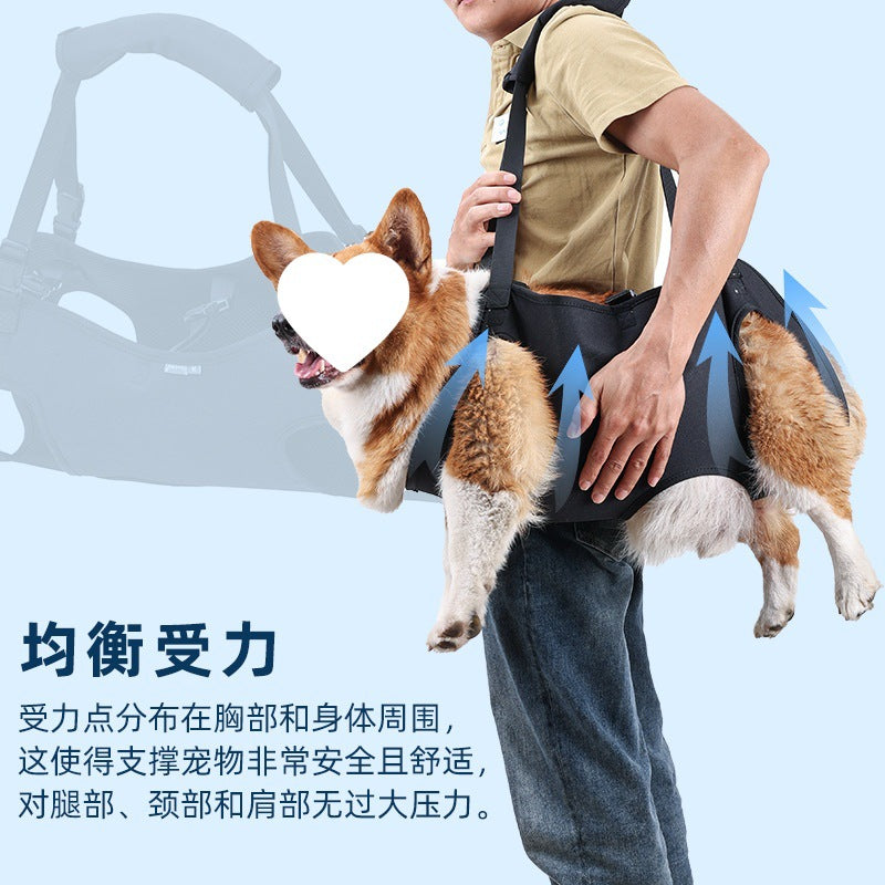 Pet Dog Harness Walking Aid Belt